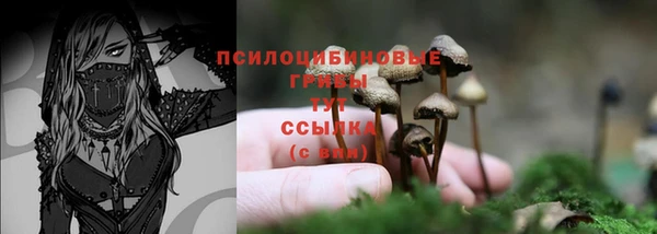 прущая мука Бронницы