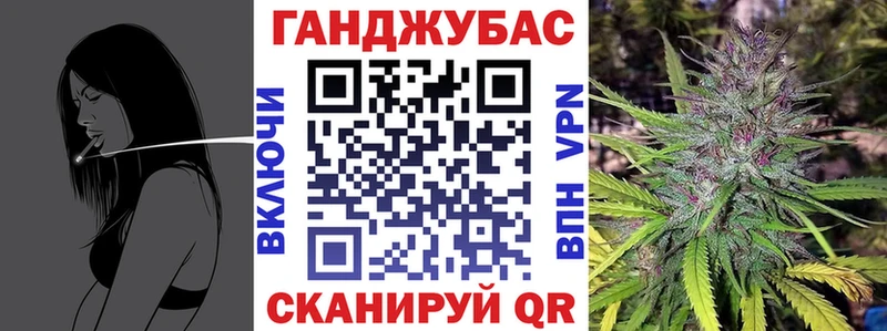 как найти закладки  Киренск  Каннабис сатива 